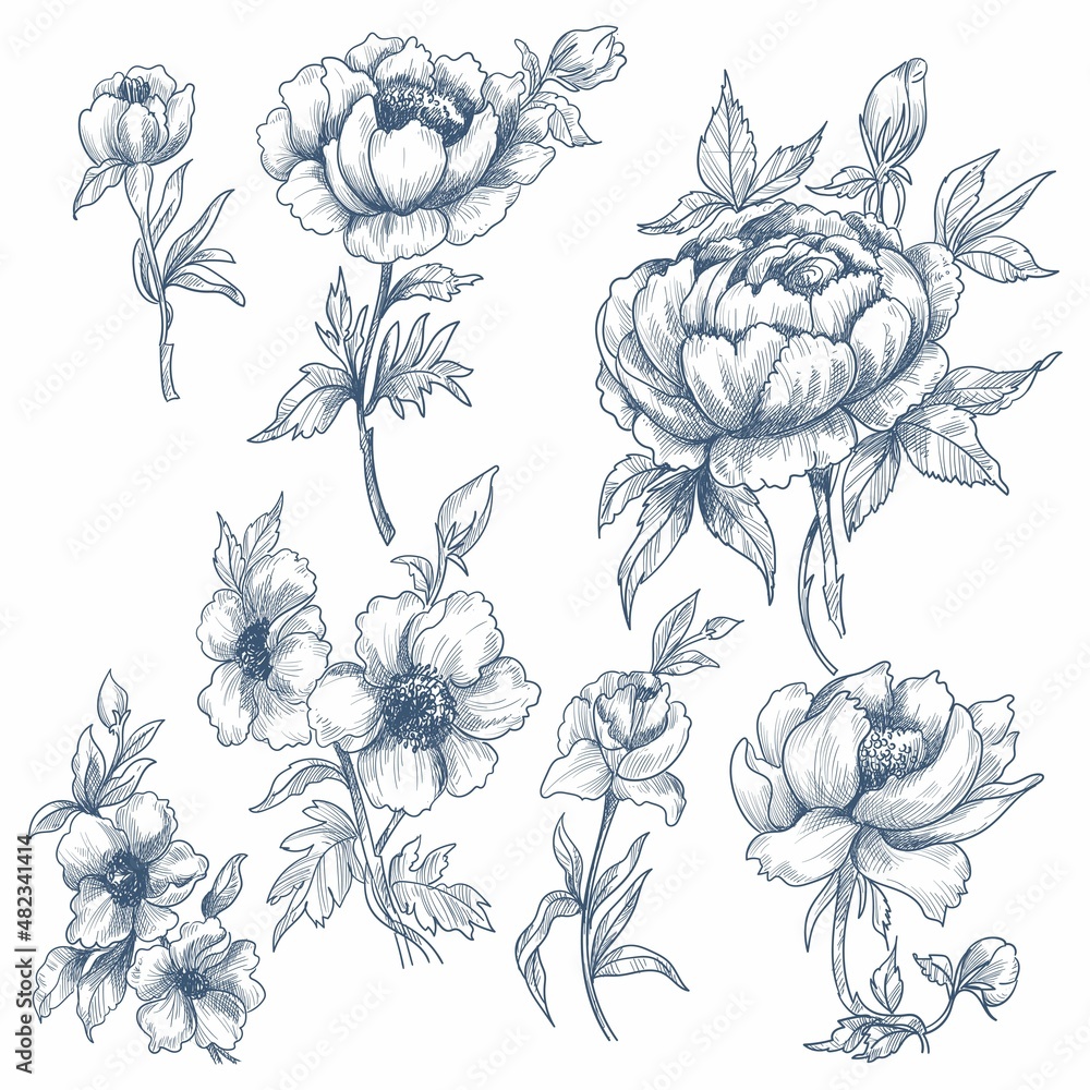 Decorative floral sketch set beautiful design