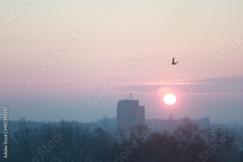 sky, sunset, bird, tower, sun, ,building, city, morning