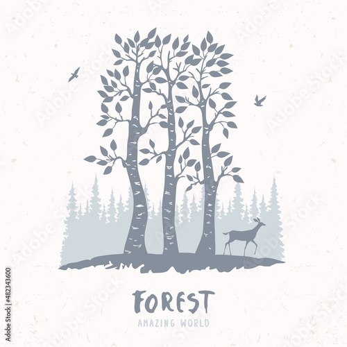 Forest