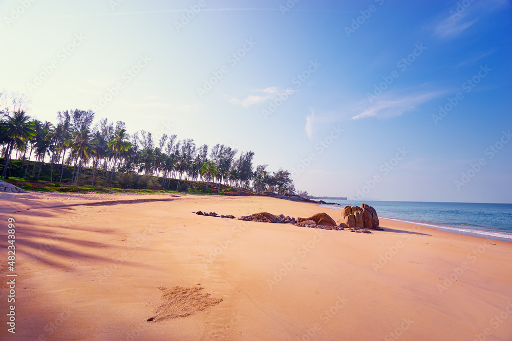 Sunny day on the tropical beach with coconut palm trees. Sunny day on the tropical beach with coconut palm trees.