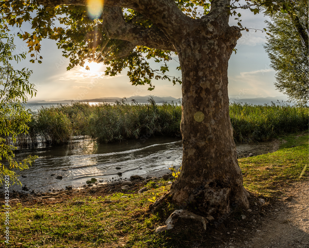 Fototapeta premium Sunset in Lazise on Lake Garda, Italy