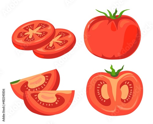 Organic ripe tomato sliced vegetable vector set