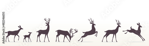deer set
