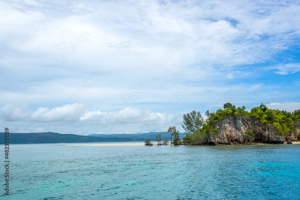 Sandbar Near a Tropical Island and Jungle in the Background Sandbar Near a Tropical Island and Jungle in the Background