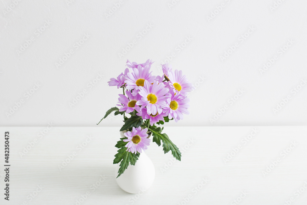chrysanthemums flowers in ceramic vase on white background