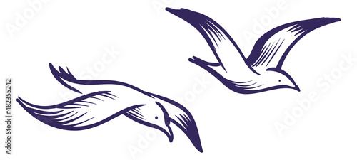 Fototapeta Naklejka Na Ścianę i Meble -  Flying sea gulls. Sketch style blue lines birds in air