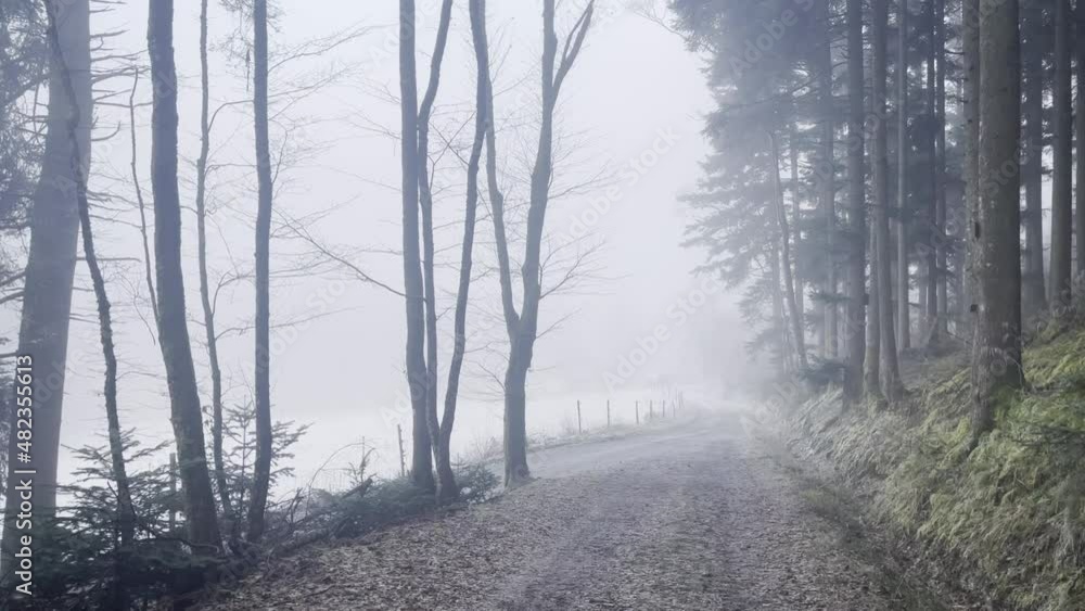 Slow walk on a dirt path in the winter fog in the forest Slow walk on a dirt path in the winter fog in the forest