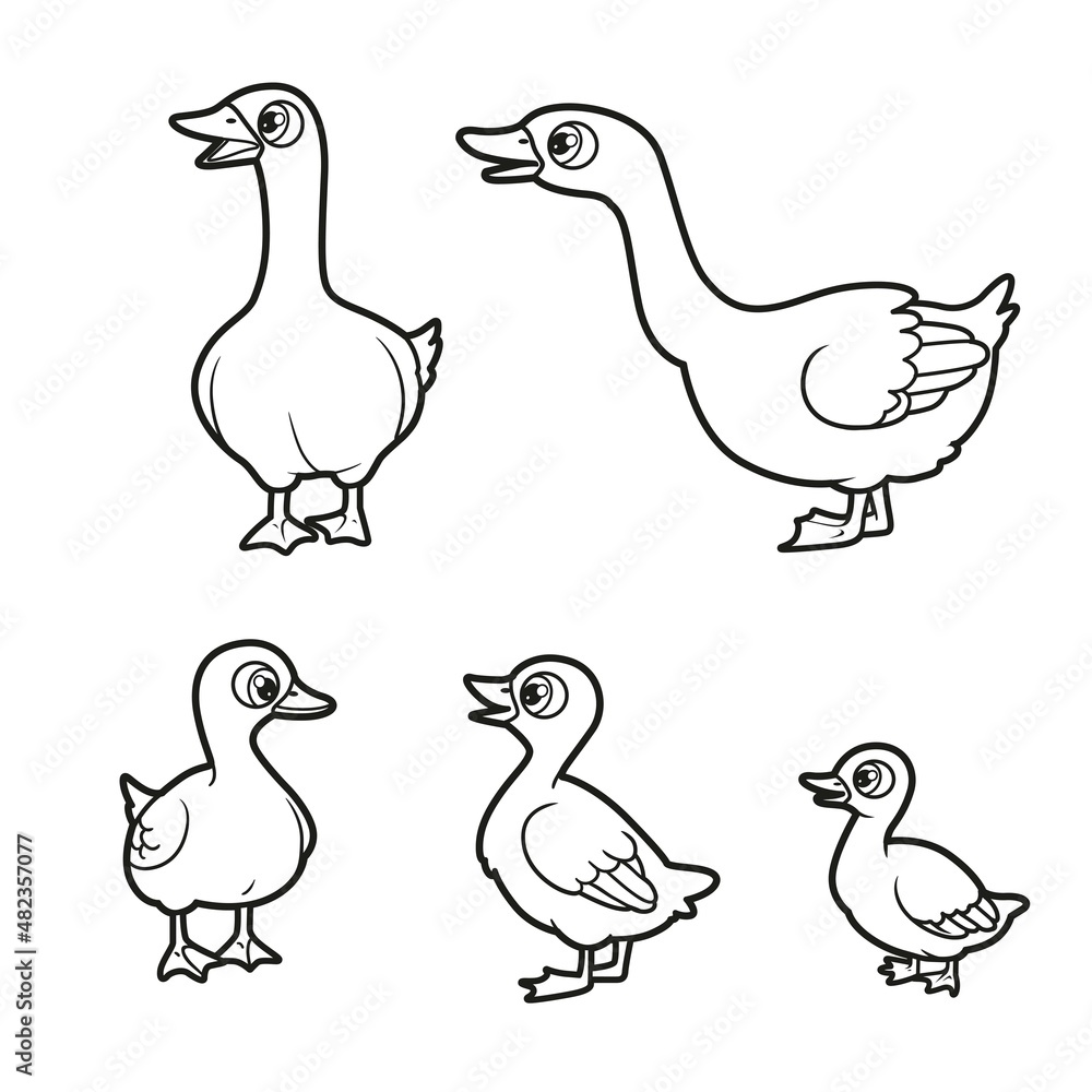 Big and small cartoon geese and goslings outlined for coloring book on white background Big and small cartoon geese and goslings outlined for coloring book on white background