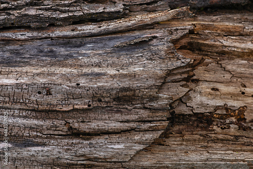 Surface eroded by time, old wood background.
