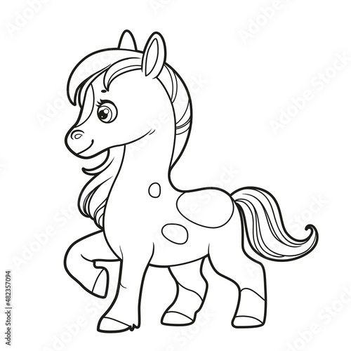 Cute cartoon little horse outlined for coloring book on white background