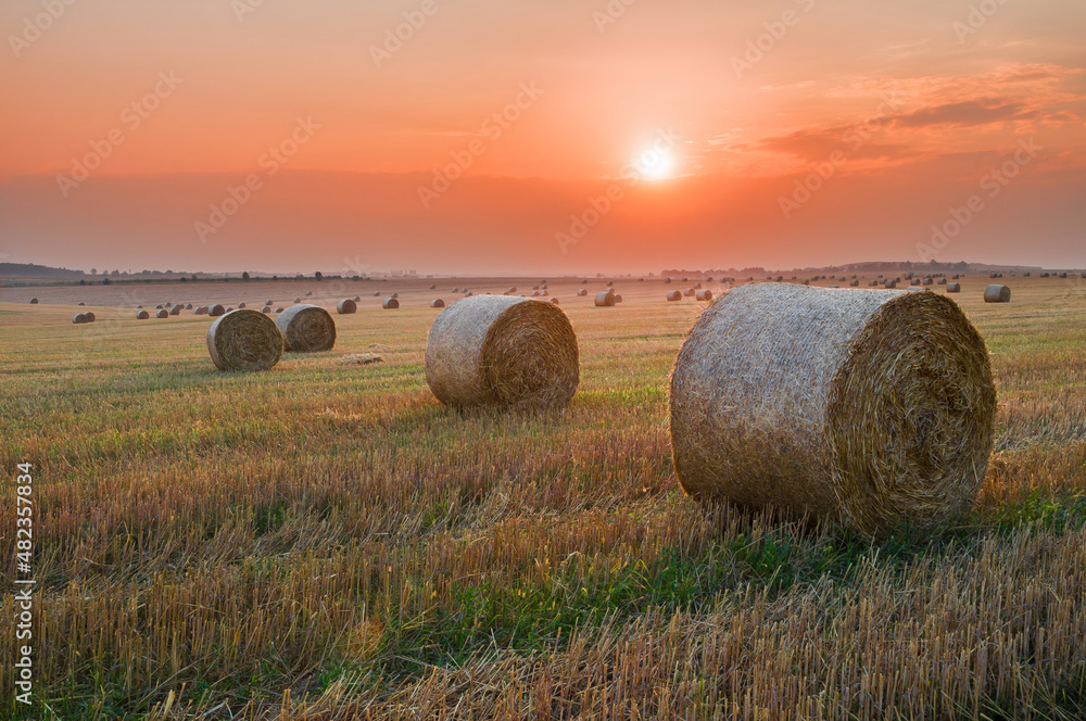 Sunset over a field with rolls of mown straw