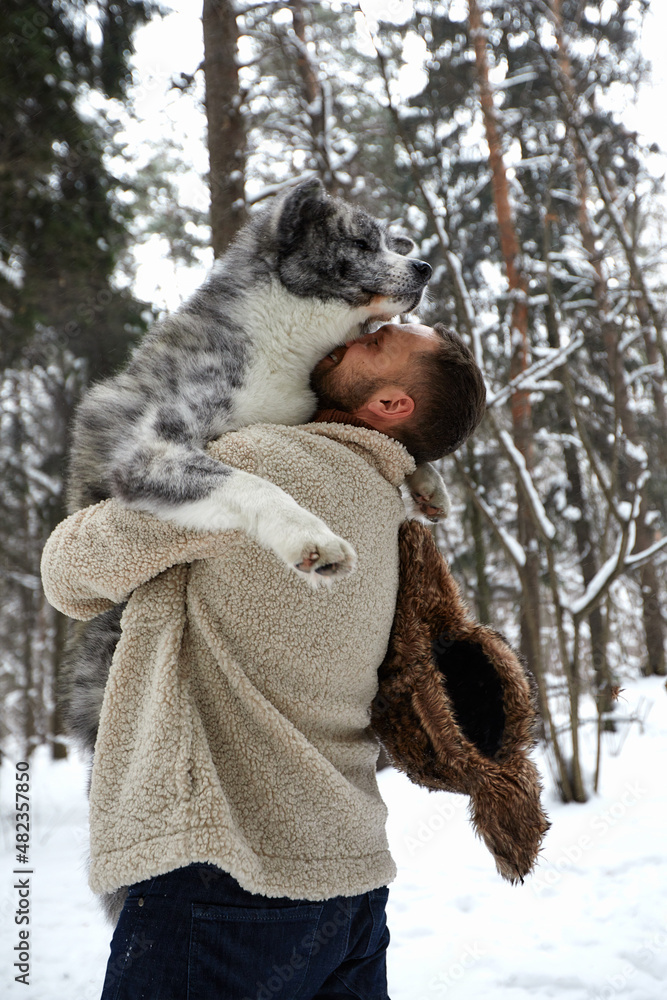 Men playing with siberian husky in winter forest and park, animals and ecology. Pet lover. Dog - human s friend concept Men playing with siberian husky in winter forest and park, animals and ecology. Pet lover. Dog - human s friend concept