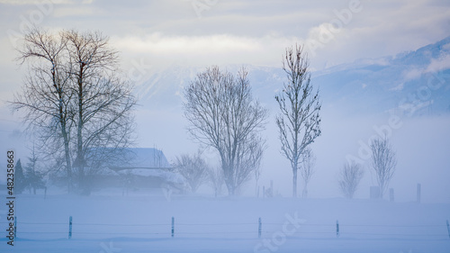 Wallpaper Mural mystical landscape at a foggy and cold winter morning with view of a agriculture field with barn and trees Torontodigital.ca