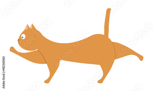 Funny cat does stretching after lying down for a long time.