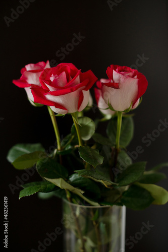 Bouquet of red roses on a dark background.