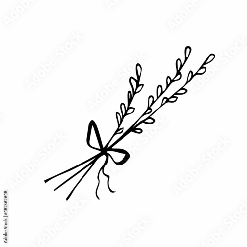 Willow branch hand drawn illustration, vector line sketch illustration isolated on white background
