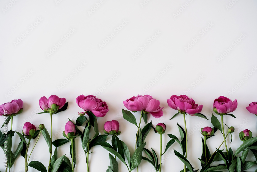 Elegant pink peony flowers pattern on white background with copy space. Minimalist flat lay, top view aesthetic floral composition Elegant pink peony flowers pattern on white background with copy space. Minimalist flat lay, top view aesthetic floral composition