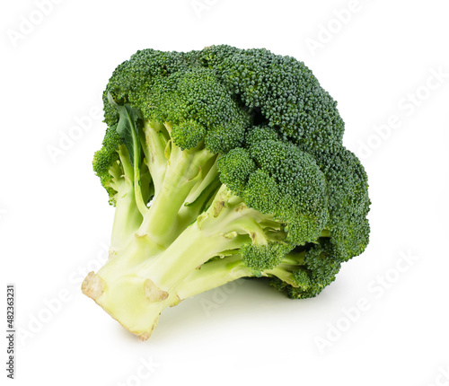 Fresh green broccoli isolated