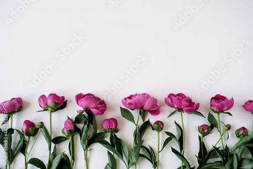 Fototapeta Naklejka Na Ścianę i Meble -  Elegant pink peony flowers pattern on white background with copy space. Minimalist flat lay, top view aesthetic floral composition