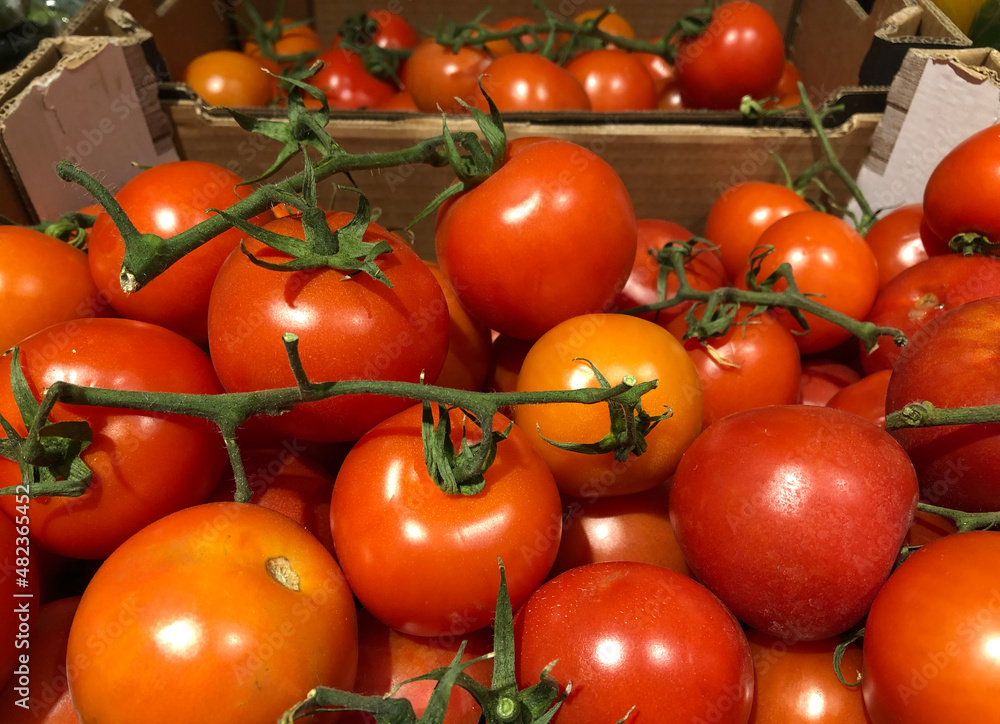 Boxes of ripe tomatoes 