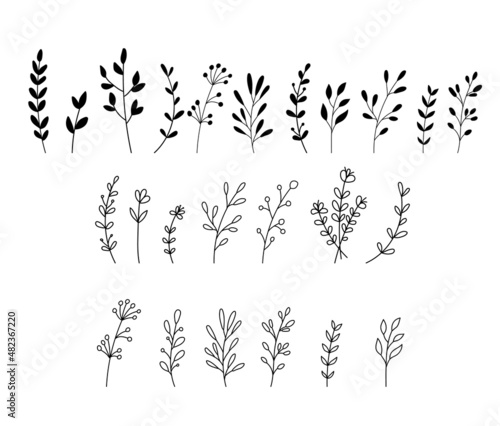 Wildflowers and flowers collection drawing line art vector. Set of Isolated simple plants and leaves in outline style on white background