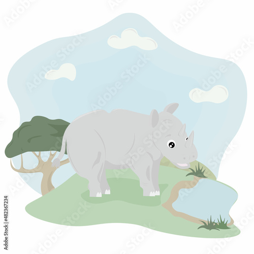 rhinoceros illustration in nature