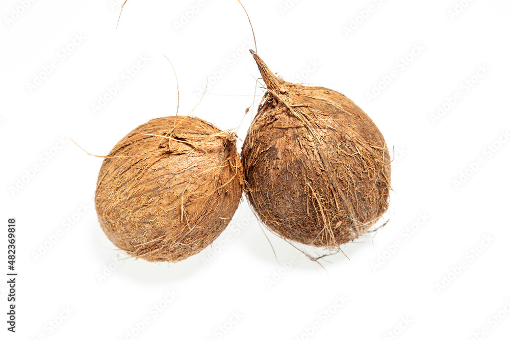 coconut isolated on white coconut isolated on white