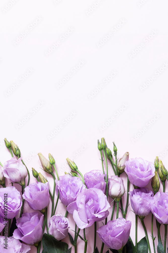 image to crop