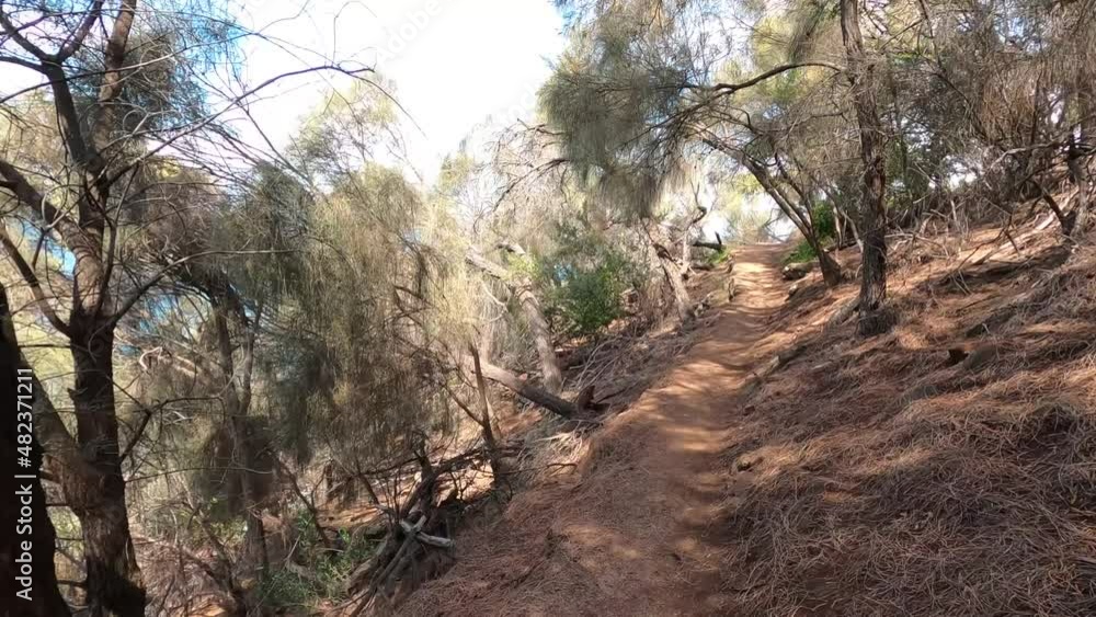 beautiful hike with thick native vegetation shot and beach view at the end shot in Southern Tasmania beautiful hike with thick native vegetation shot and beach view at the end shot in Southern Tasmania
