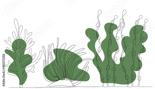 algae drawing in one continuous line, vector, isolated