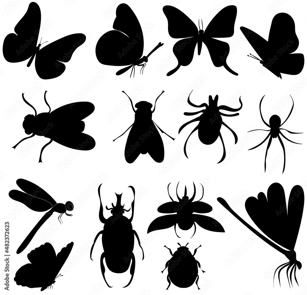 Fototapeta premium collection of insects set silhouette, on white background, vector, isolated