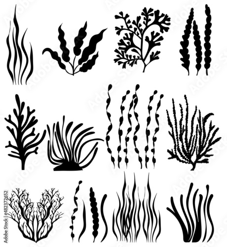 seaweed collection set silhouette,on white background,vector,isolated