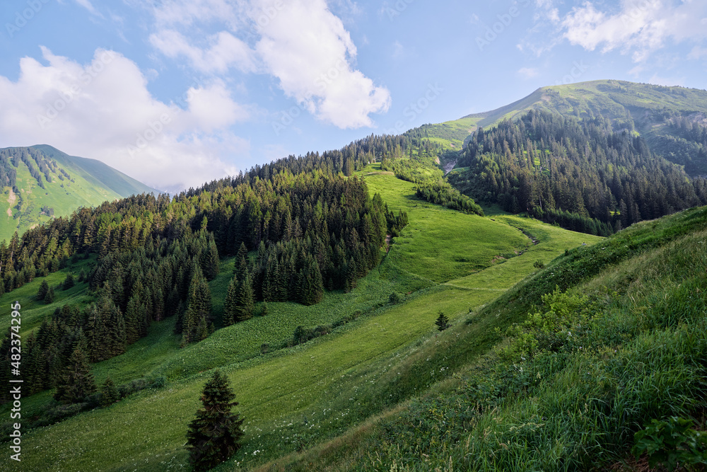 Beautiful summer mountains landscape. Green Alps view.