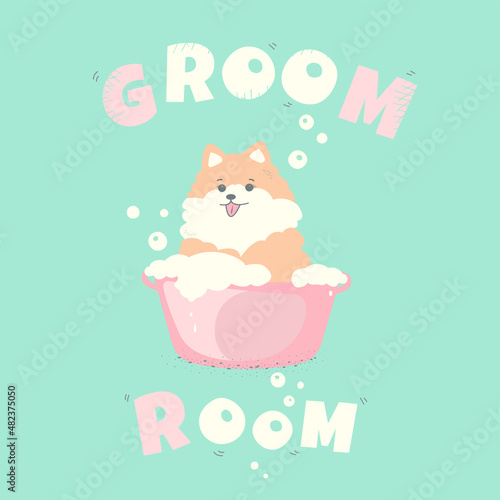 dog spitz grooming