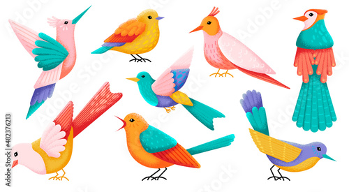 Colorful birds. Decorative bird, cute nature objects. Isolated flying decoration, hummingbird and abstract tit and sparrow. Vintage bright swanky vector set