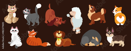 A bunch of cute cats and dogs sleeping, stretching, playing. Set of pets isolated on white background. Flat cartoon vector illustration.