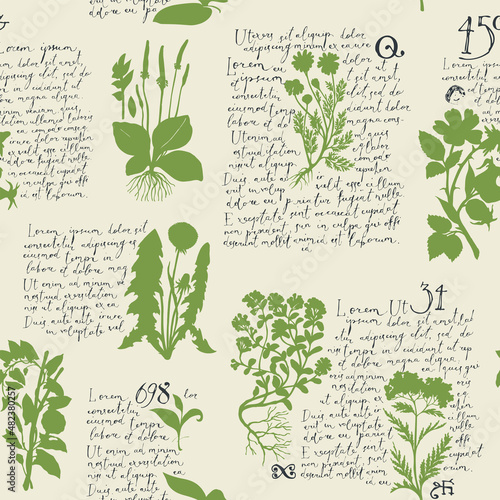 Seamless pattern with handwritten text Lorem Ipsum and silhouettes of medicinal herbs on an old paper. Retro vector background on the theme of herbal medicine, wallpaper, wrapping paper, fabric design