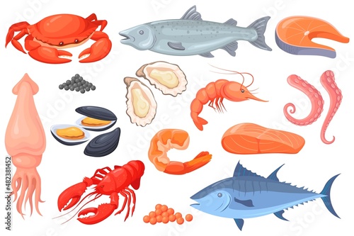 Cartoon raw seafood. Sea fish gourmet food, crayfish squid shrimp salmon crab trout shellfish, lobster dinner, ocean red meat recipe, healthy meal fresh tuna neat vector