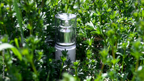 White unbranded dispenser bottle in meadow of flowers Galium aparine cleavers, clivers, goosegrass sticky willy, stickyjack, stickeljack, grip grass. MockUp bottle of shampoo