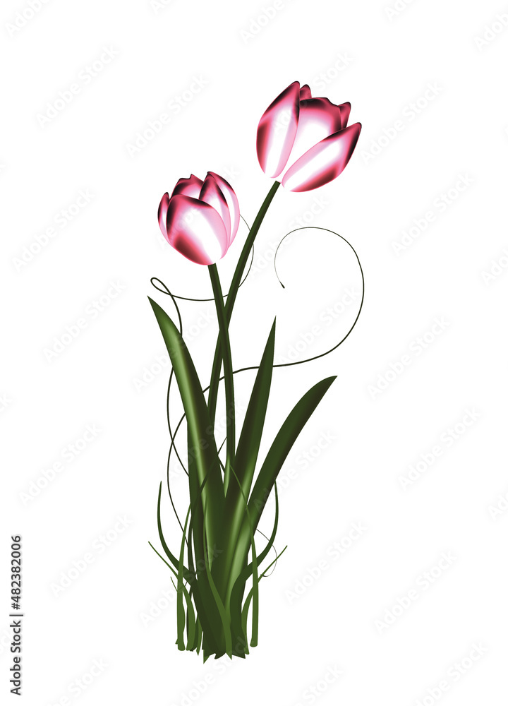 zwei Metallic schimmernde Tulpen im Frühling zwei Metallic schimmernde Tulpen im Frühling