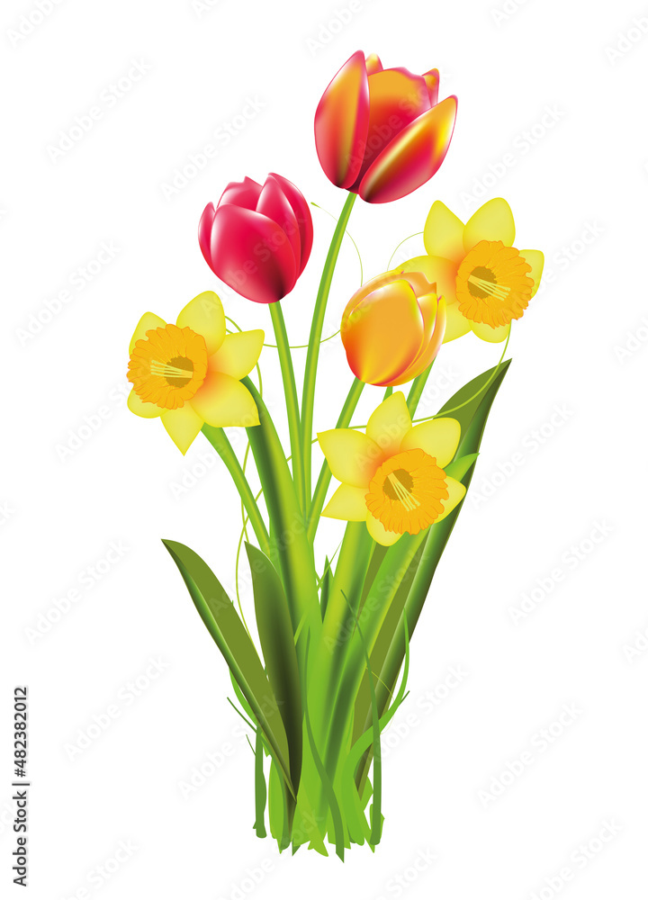 Bunte Tulpen und Osterglocken als Frühlingsstrauss Bunte Tulpen und Osterglocken als Frühlingsstrauss