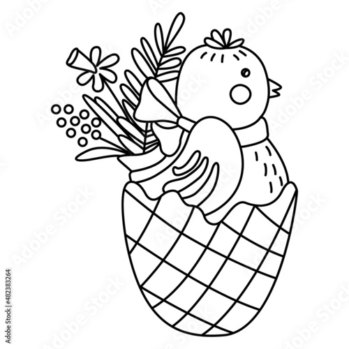 Cute little chicken in egg decorated with spring flowers. Great for Easter greeting cards, coloring books. Doodle hand drawn illustration black outline. 