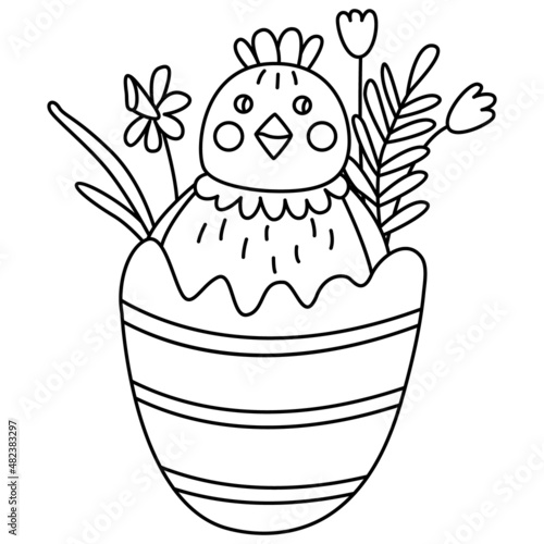 Cute little chicken in egg decorated with spring flowers. Great for Easter greeting cards, coloring books. Doodle hand drawn illustration black outline. 