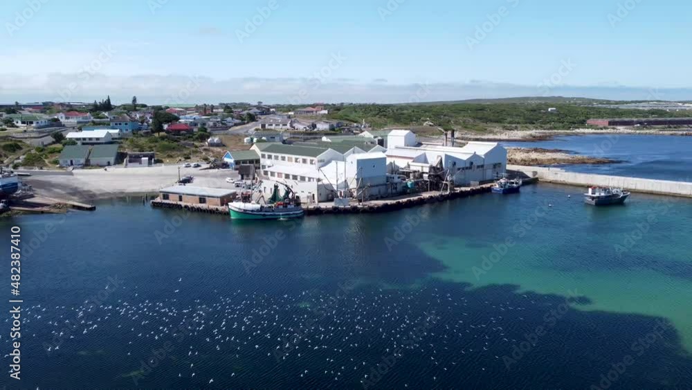 Small working harbor and factory of Gansbay with big flock of white sea gulls flying above water Small working harbor and factory of Gansbay with big flock of white sea gulls flying above water