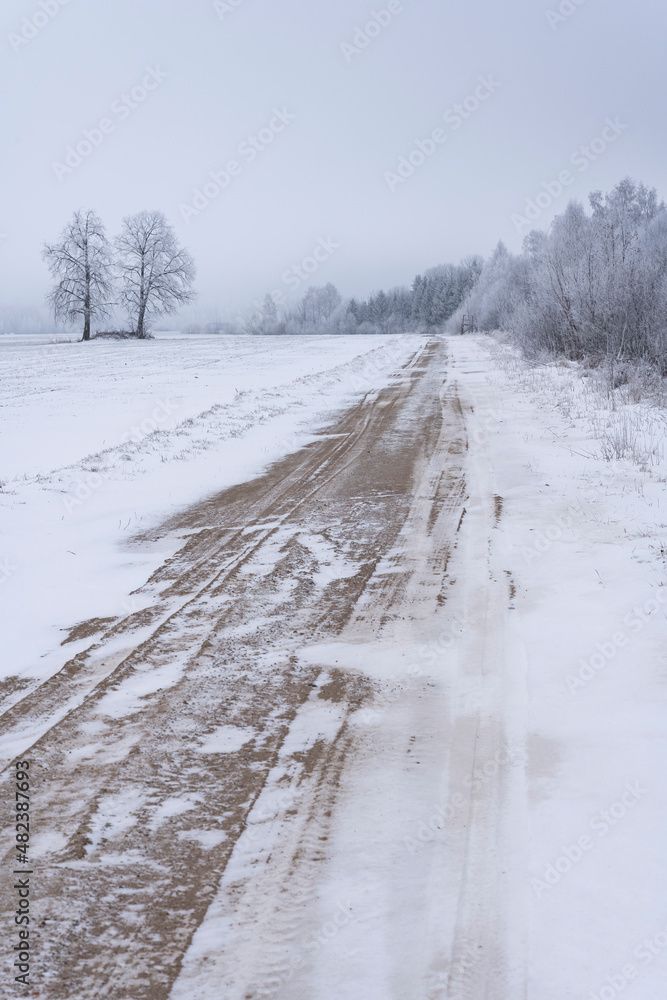 Obraz premium Beautiful snowy country road in winter, with a great perspective view
