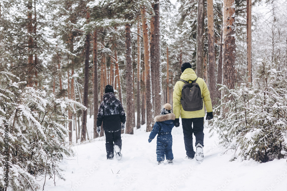 Rear view of father with backpack and little sons holding hand walking together in winter snowy forest. Wintertime activity outdoors. Concept of local travel and family weekend