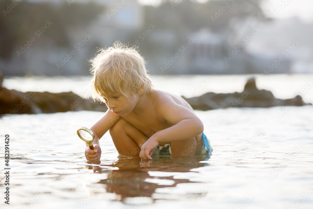 Cute child, boy, using magnifying glass to examine seashells on the beach Cute child, boy, using magnifying glass to examine seashells on the beach