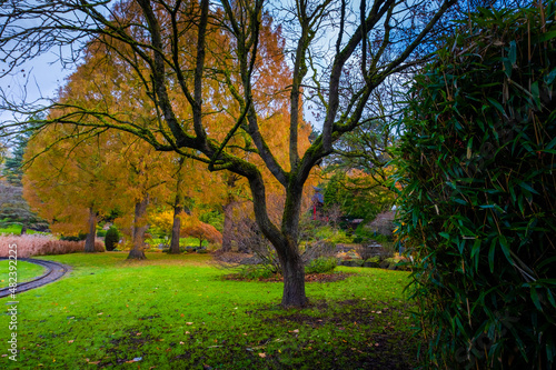 Autumn in park