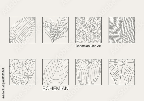 Minimalist botanical line art plant with leaves abstract collage © C Design Studio
