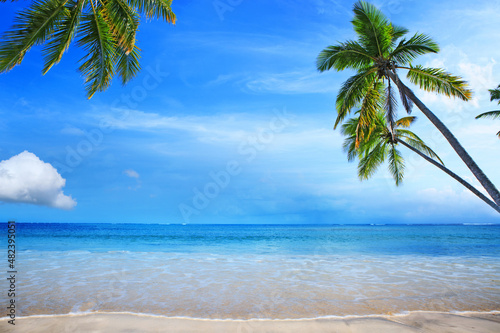 Travel background with Caribbean sea and green palm trees on beach.